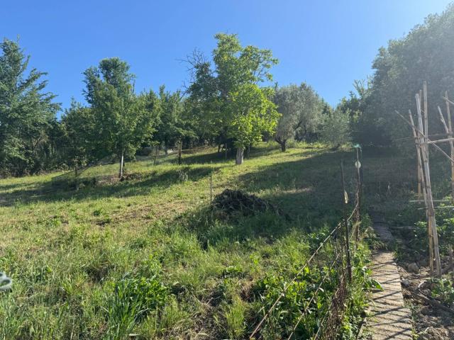 Terreno in vendita a Roma Capitale, Lazio