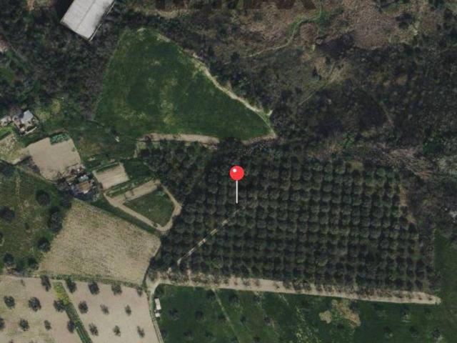 Terreno in vendita a Montesilvano, Abruzzo
