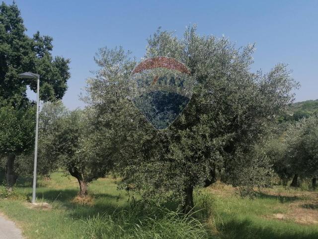 Terreno in vendita a Moscufo, Abruzzo
