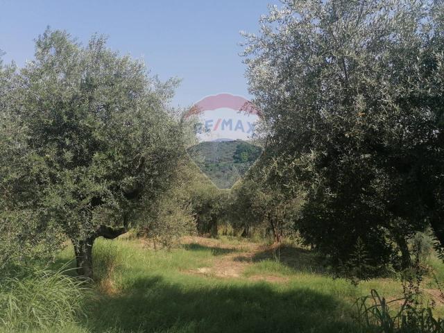 Terreno in vendita a Moscufo, Abruzzo