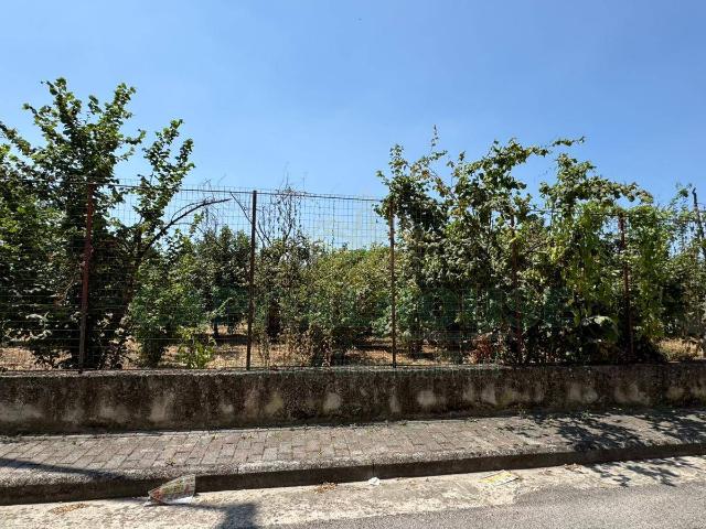 Terreno in vendita a Mugnano Del Cardinale, Campania