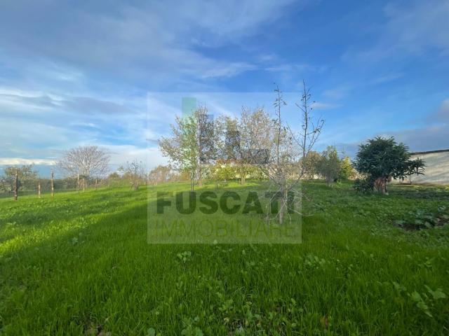 Terreno in vendita a Cupa Spinelli, Campania