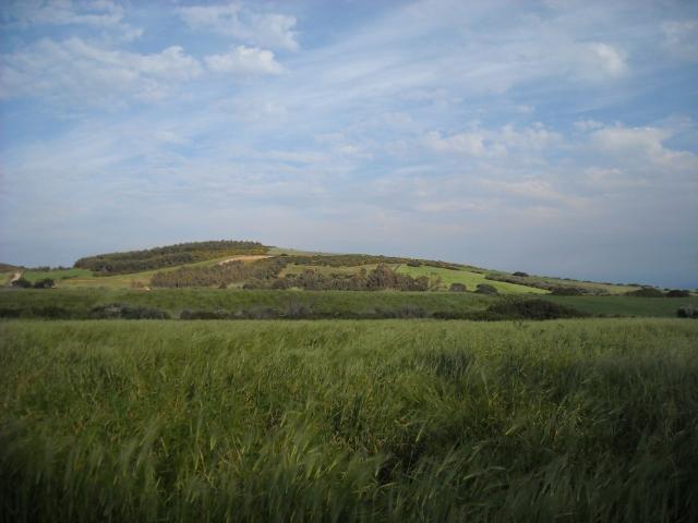 Terreno in vendita a Narbolia, Sardigna/Sardegna