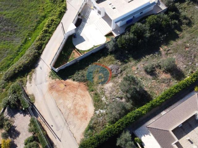Terreno in vendita a Contrada Campo dei Fiori, Puglia