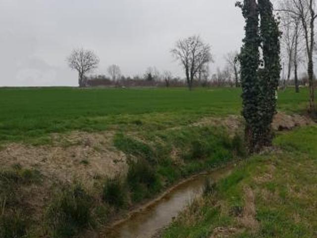 Terreno in vendita a Noale, Veneto