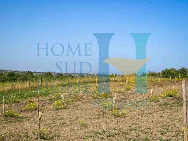 Terreno in vendita a Noto, Sicilia