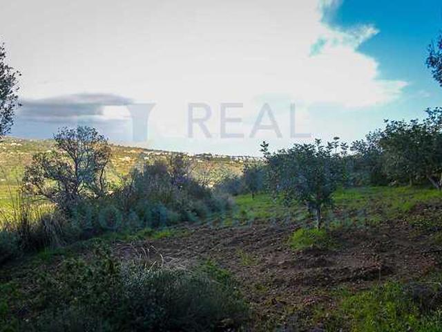 Terreno in vendita a Piano Alto, Noto