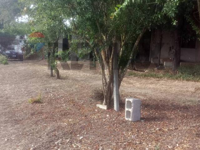 Terreno in vendita a Ollastra Simaxis, Sardigna/Sardegna
