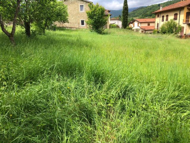Terreno in vendita a Ortignano, Toscana