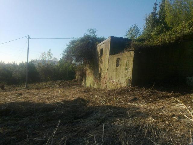 Terreno in vendita a Isola, Luni