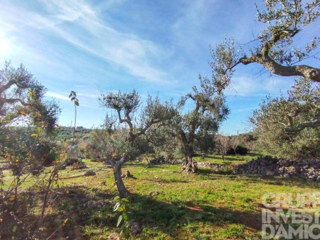 Terreno in vendita a Contrada Badessa, Puglia