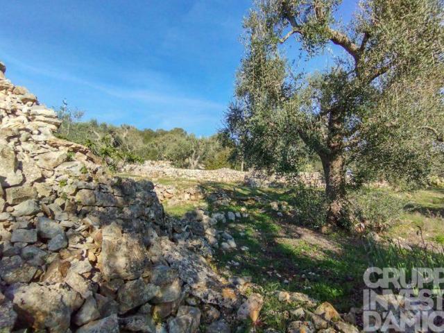 Terreno in vendita a Contrada Badessa, Puglia