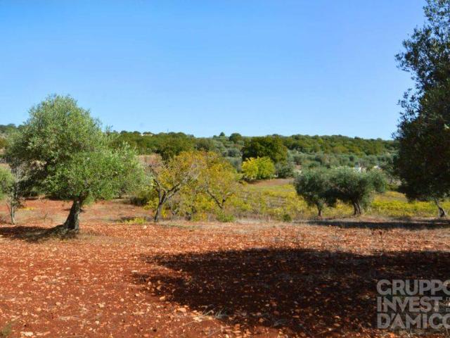 Terreno in vendita a Puglia, Brindisi