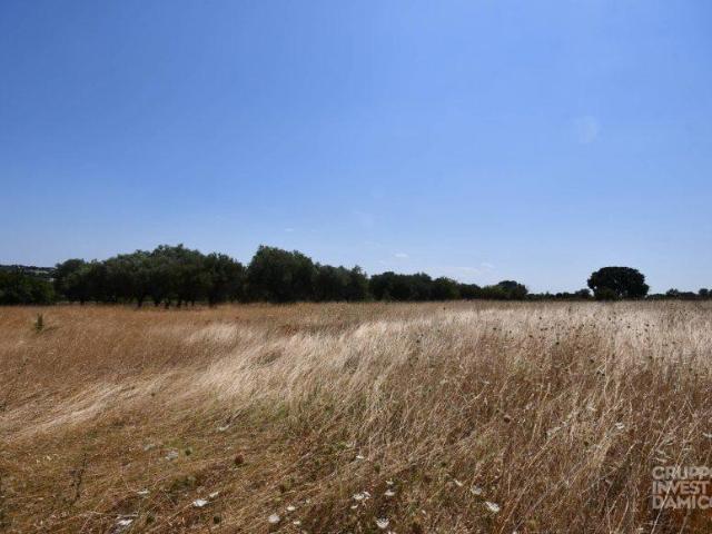 Terreno in vendita a Puglia, Brindisi
