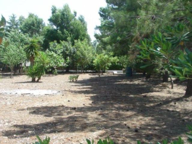 Terreno in vendita a Villanova, Puglia