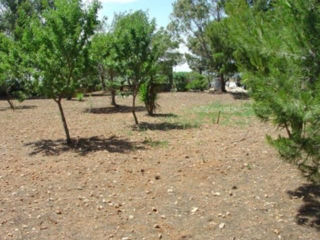 Terreno in vendita a Villanova, Puglia