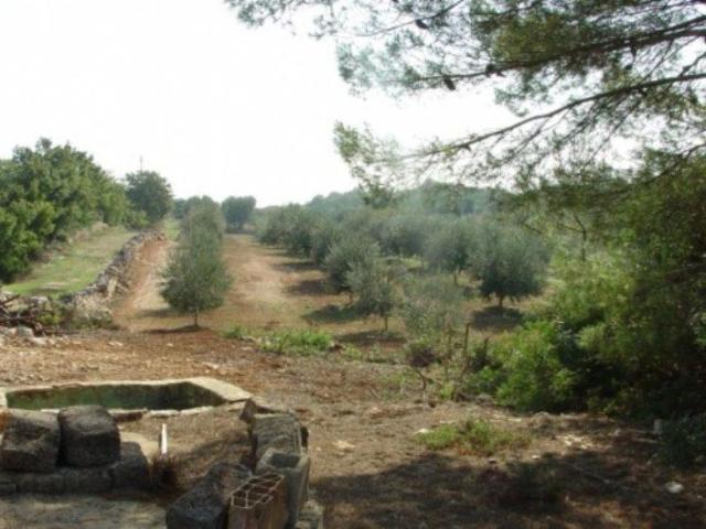 Terreno in vendita a Borgo Rurale Pascarosa, Puglia