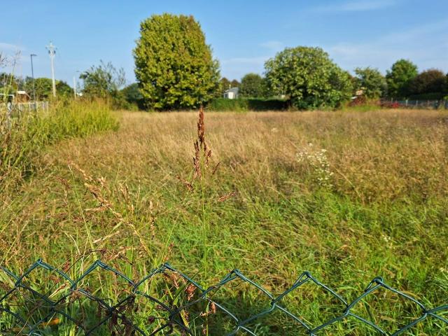 Terreno in vendita a Sovernigo, Paese