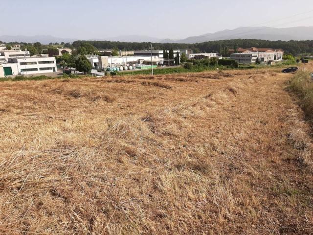 Terreno in vendita a Paliano, Lazio