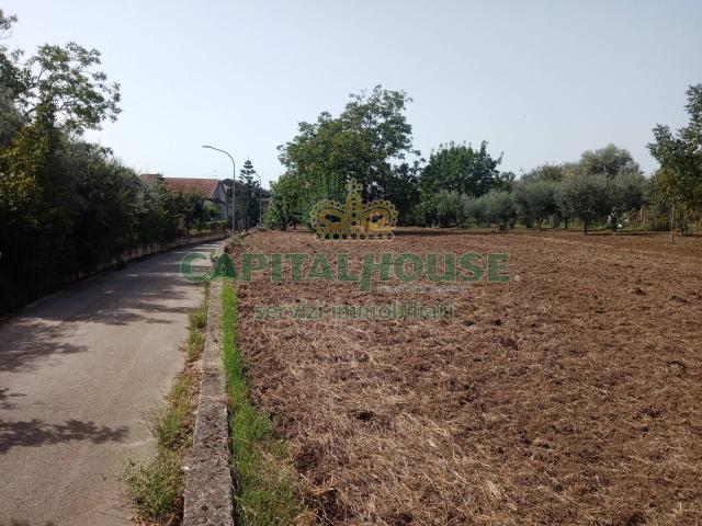 Terreno in vendita a Pastorano, Campania