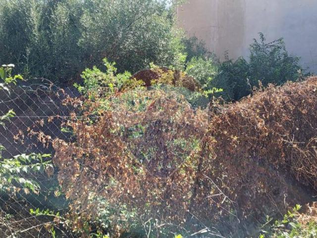 Terreno in vendita a Santa Marina, Paternò