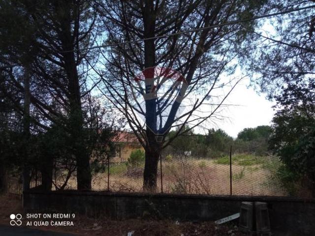 Terreno in vendita a Pedara, Sicilia