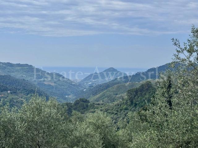 Terreno in vendita a Perinaldo, Liguria