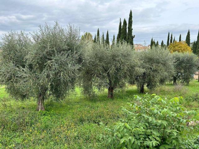 Terreno in vendita a Cenerente, Umbria