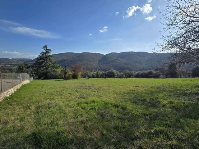Terreno in vendita a Cenerente, Umbria