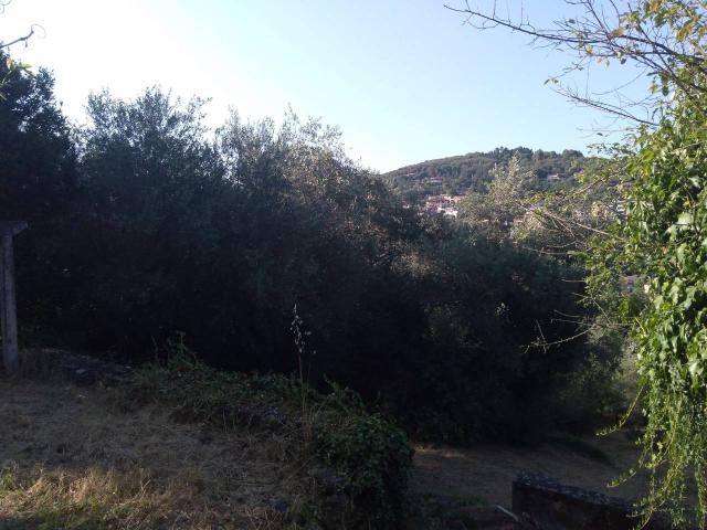 Terreno in vendita a Cenerente, Umbria