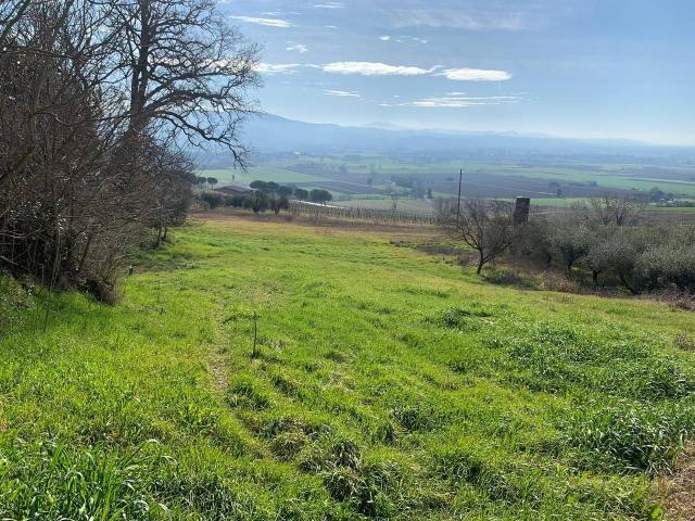 Terreno in vendita a Cenerente, Umbria