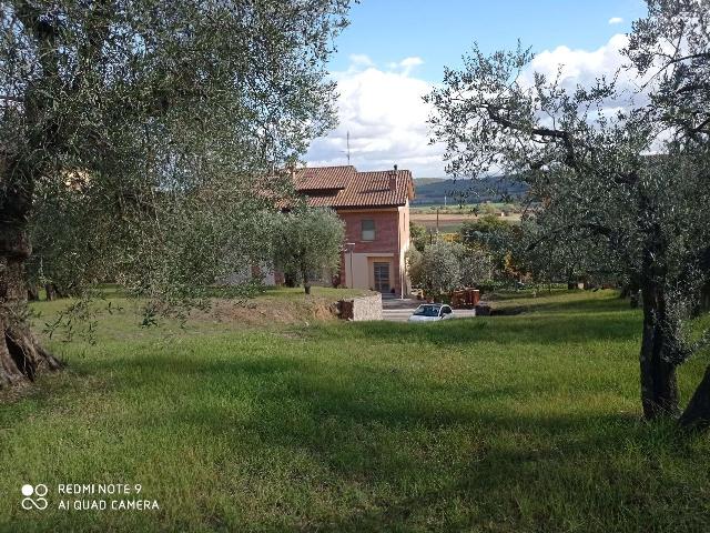 Terreno in vendita a Cenerente, Umbria