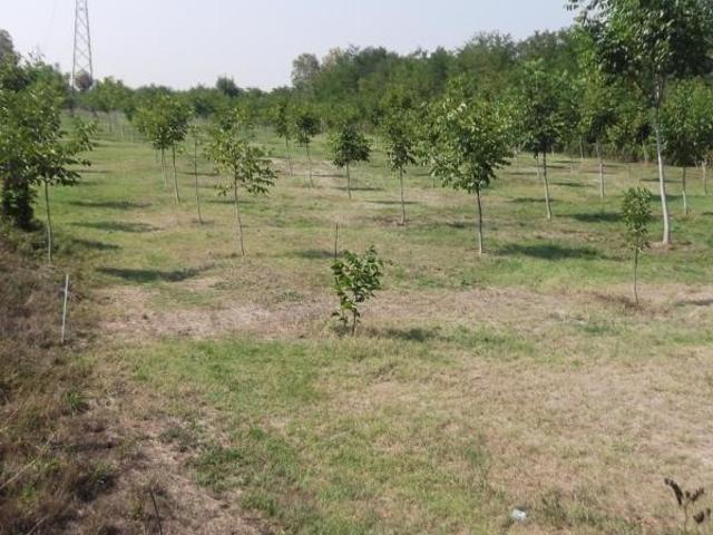 Terreno in vendita a Infrangibile, Piacenza