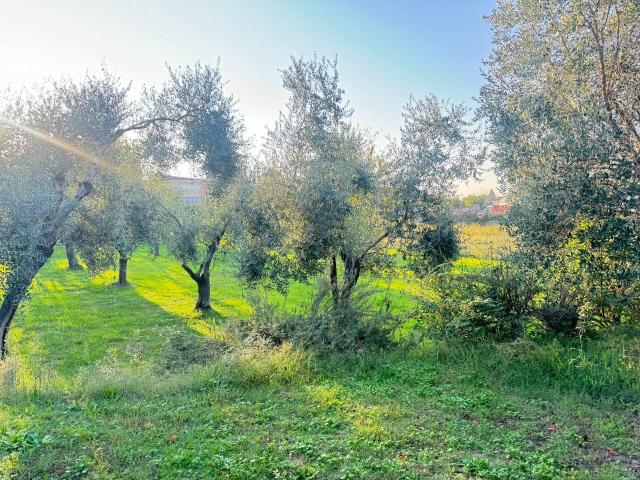 Terreno in vendita a Tonfano, Toscana