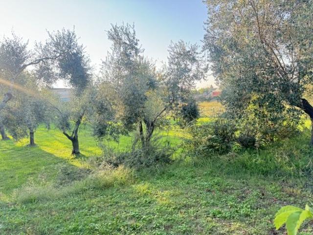 Terreno in vendita a Tonfano, Toscana