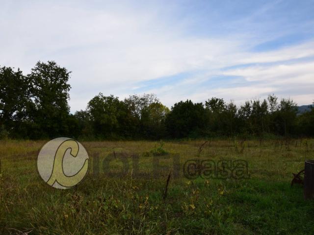 Terreno in vendita a Pignataro Interamna, Lazio
