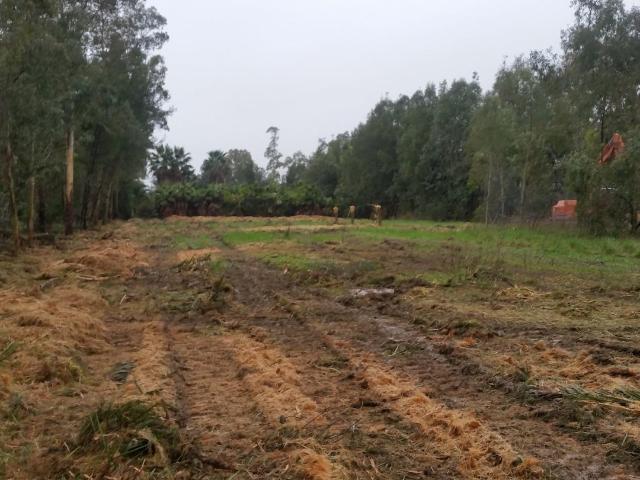 Terreno in vendita a Ospedaletto, Pisa