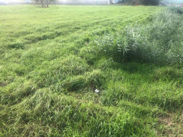 Terreno in vendita a Barbaricina, Pisa