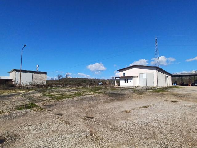 Terreno in vendita a Pofi, Lazio