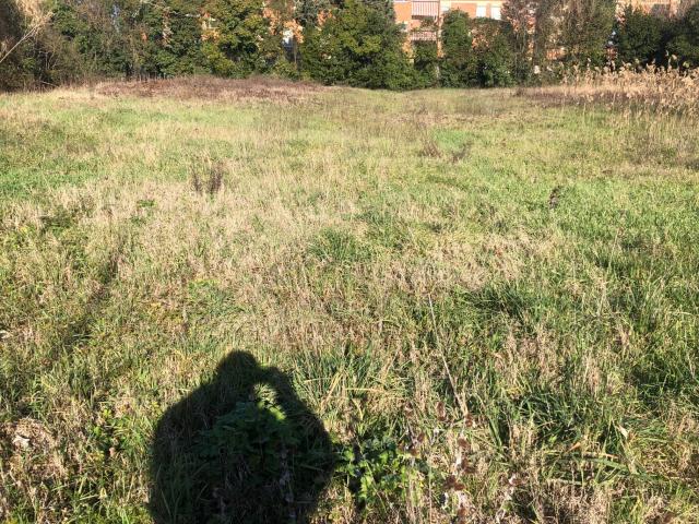 Terreno in vendita a Oltrera, Pontedera