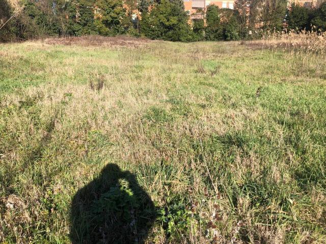 Terreno in vendita a Oltrera, Pontedera
