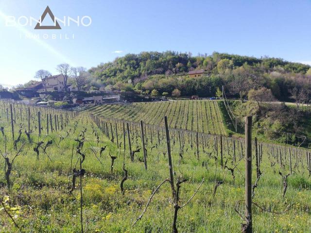 Terreno in vendita a Pove Del Grappa, Veneto