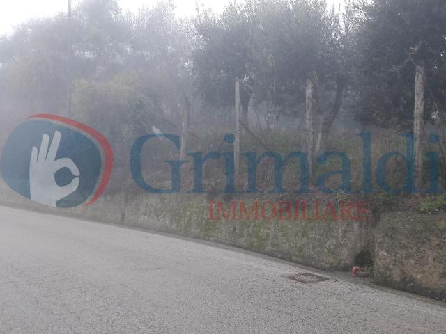 Terreno in vendita a Pratola Serra, Campania