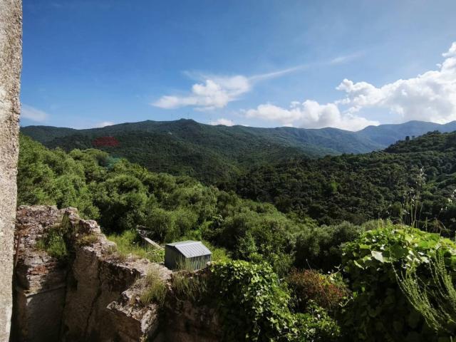 Terreno in vendita a Quiliano, Liguria
