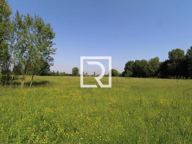 Terreno in vendita a Ravenna