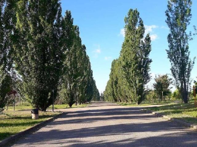 Terreno in vendita a Roncina, Re