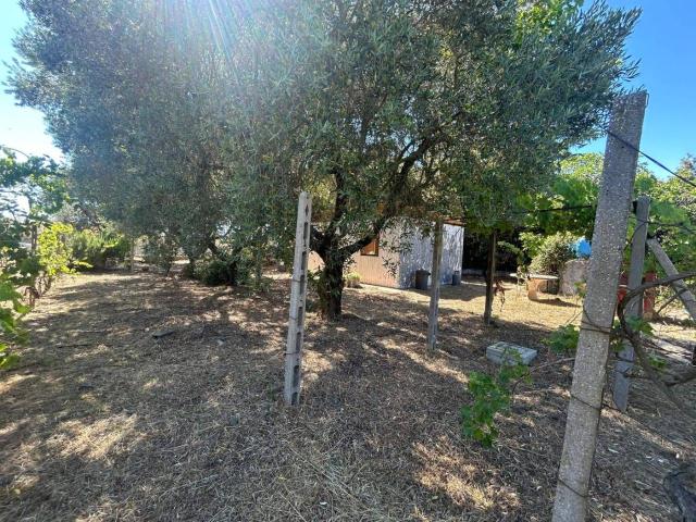 Terreno in vendita a Roma Capitale, Lazio