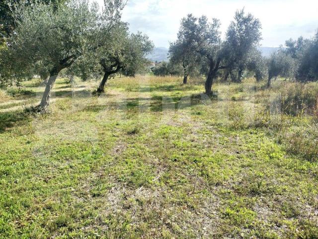 Terreno in vendita a Colli, Rosciano