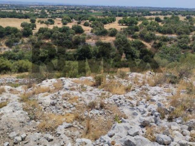 Terreno in vendita a Rosolini, Siracusa
