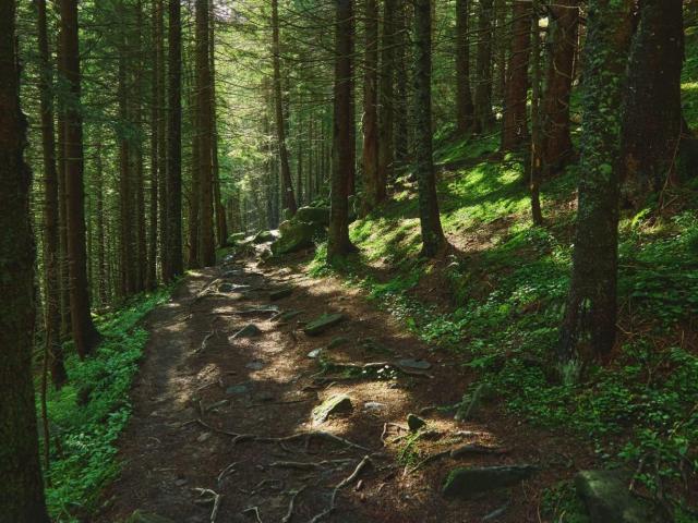 Terreno in vendita a Unione Montana Alpi Graie, Piemonte